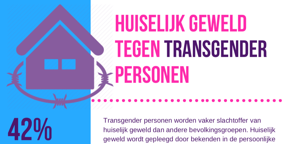 afbeelding van huiselijk geweld tegen transgender personen factsheet