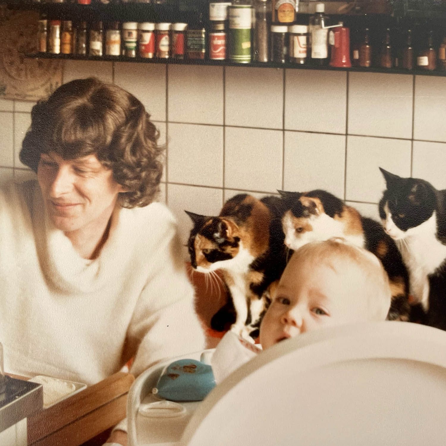 Baby in kinderstoel met drie katten eromheen en een vrouw met een witte trui ernaast